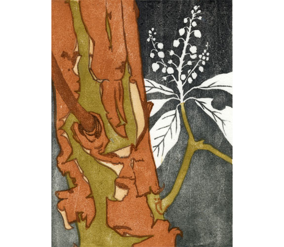 "Arbutus" by Kristen Etmund